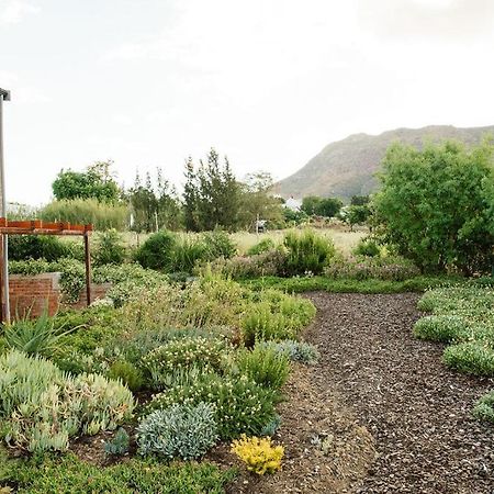Vineyard Views Country House Riebeek-Kasteel Εξωτερικό φωτογραφία