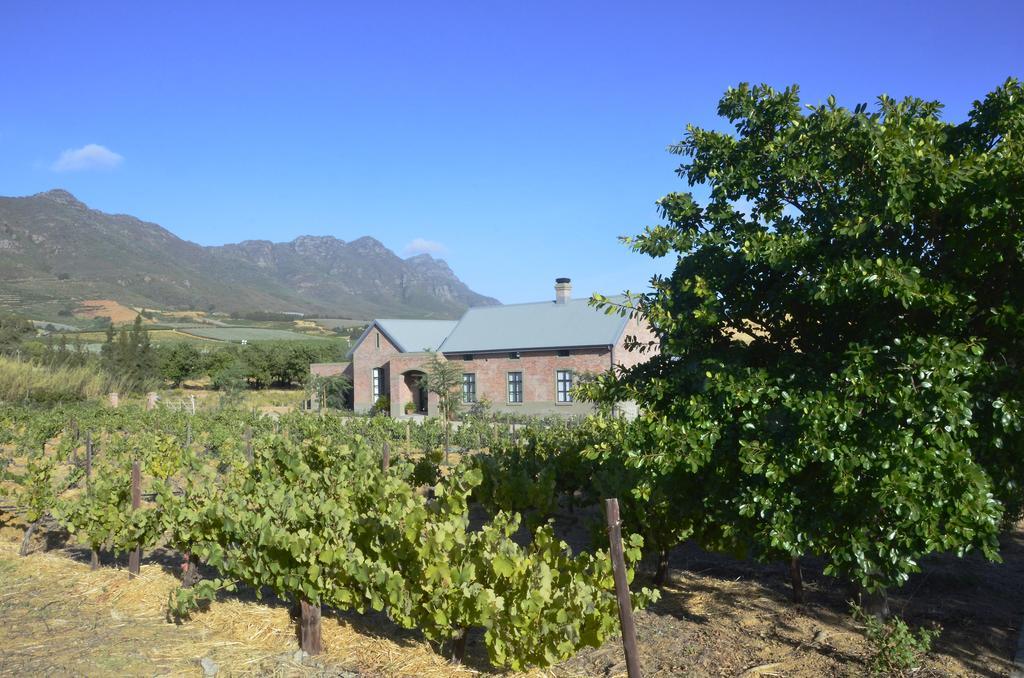 Vineyard Views Country House Riebeek-Kasteel Εξωτερικό φωτογραφία
