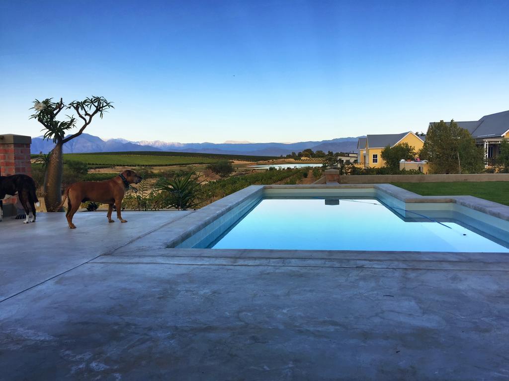Vineyard Views Country House Riebeek-Kasteel Εξωτερικό φωτογραφία