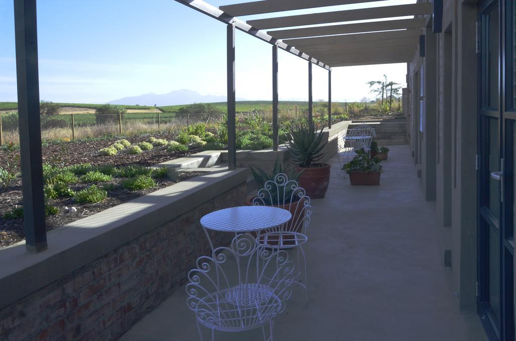 Vineyard Views Country House Riebeek-Kasteel Εξωτερικό φωτογραφία