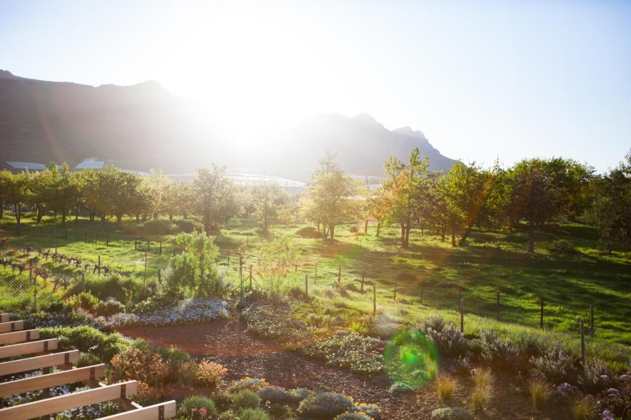 Vineyard Views Country House Riebeek-Kasteel Εξωτερικό φωτογραφία