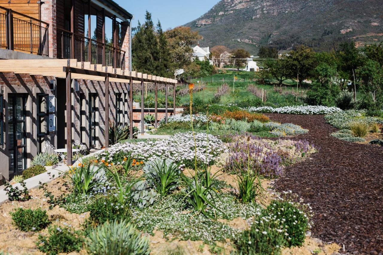 Vineyard Views Country House Riebeek-Kasteel Εξωτερικό φωτογραφία