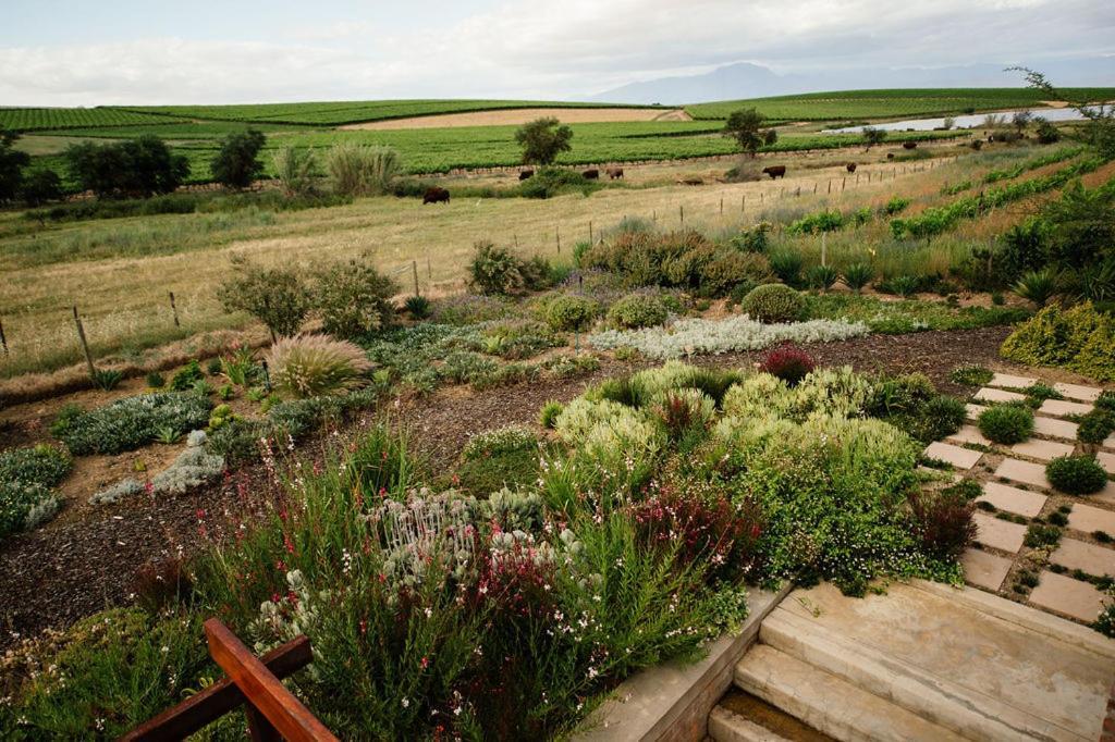 Vineyard Views Country House Riebeek-Kasteel Εξωτερικό φωτογραφία