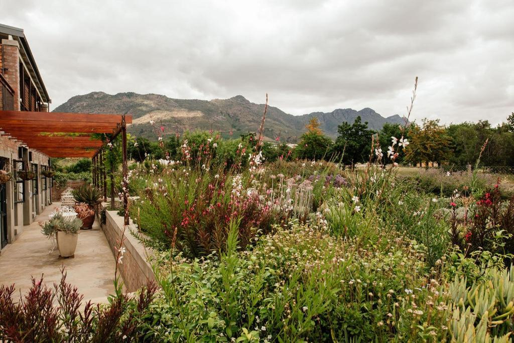 Vineyard Views Country House Riebeek-Kasteel Εξωτερικό φωτογραφία