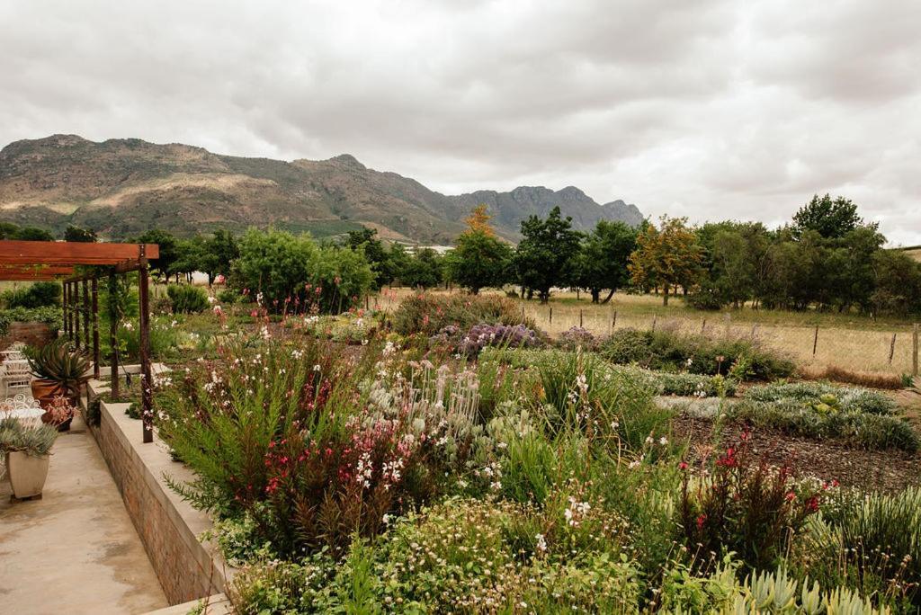 Vineyard Views Country House Riebeek-Kasteel Εξωτερικό φωτογραφία