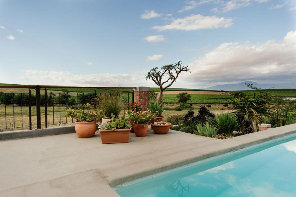 Vineyard Views Country House Riebeek-Kasteel Εξωτερικό φωτογραφία